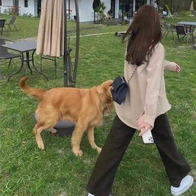 光·渊